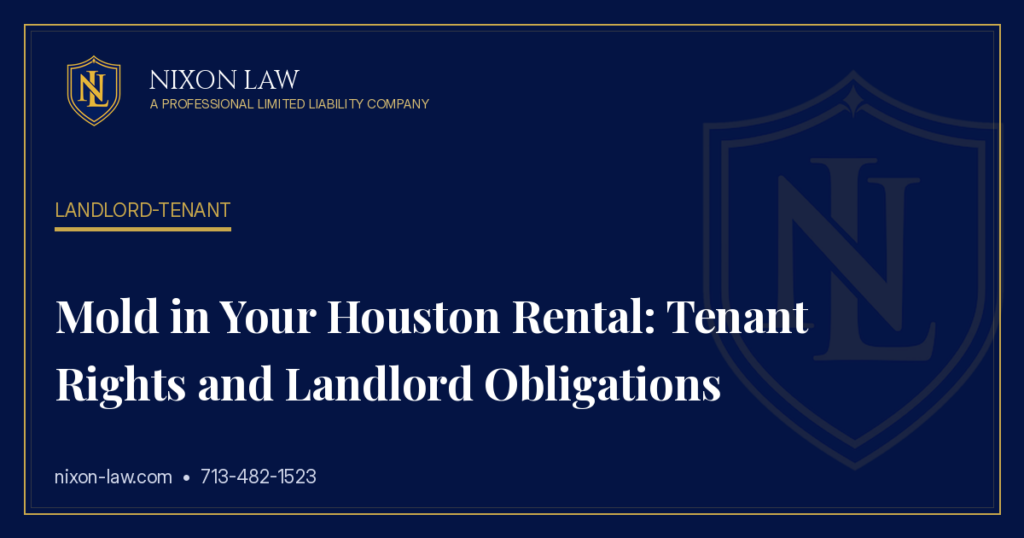 Mold in Your Houston Rental: Tenant Rights and Landlord Obligations